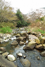笹ヶ瀬川